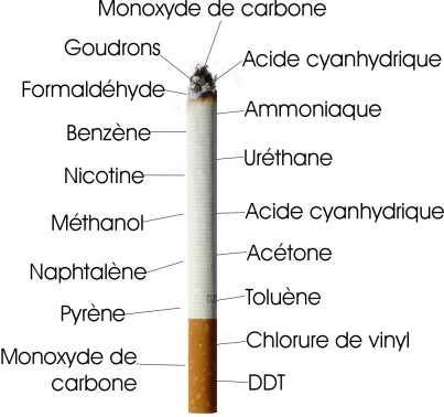 anatomie d'une cigarette